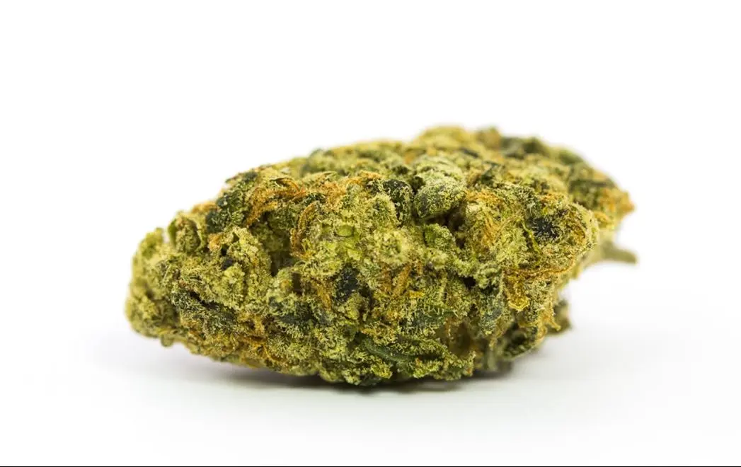 Lemon Tag Marijuana Strain