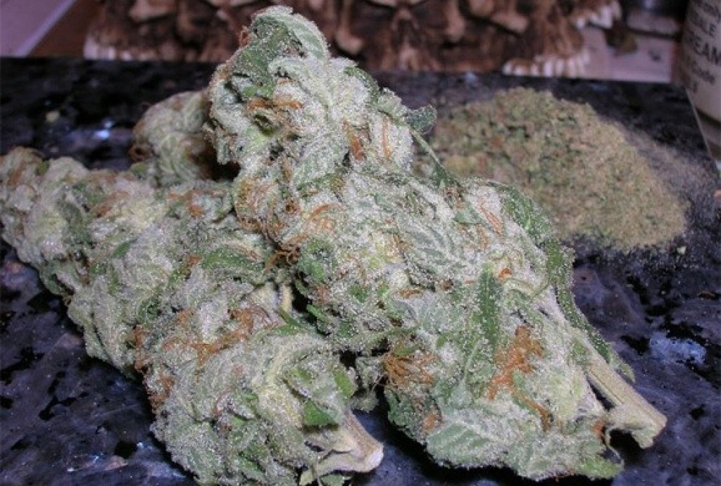 White Sour Marijuana Strain